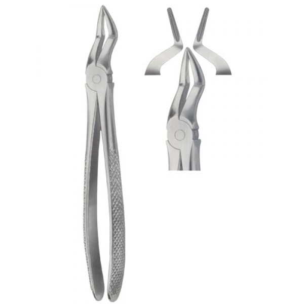 Tooth Extracting Forceps